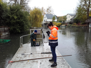 Etude de terrain sur le Loiret 2018